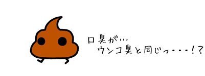 クロロフィルが便臭(ウンコの臭い)に効く